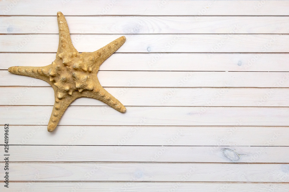 Starfish on white wooden background, flat lay, copy space Starfish on white wooden background, flat lay, copy space