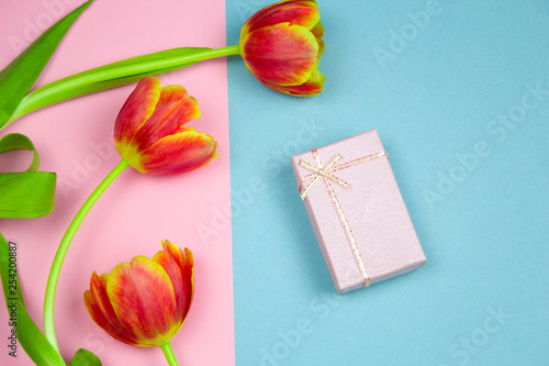 top view pastel pink gift box and red tulips on a pink and blue background, springtime festive flat lay