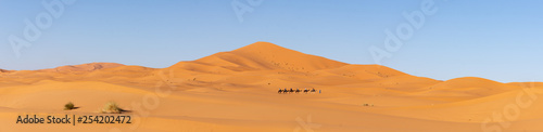 Panorama des dunes de Merzouga au Maroc