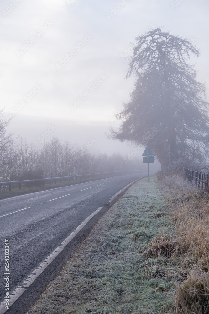 Obraz premium Foggy country road in hoarfrost