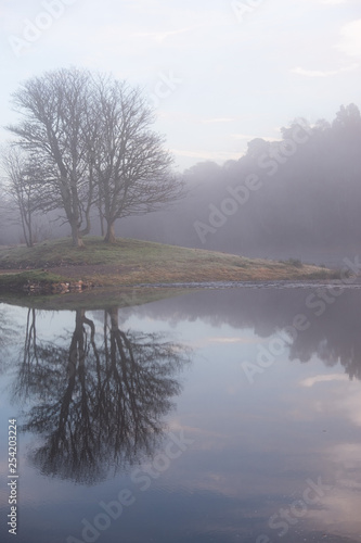 Lonely island and trees with fallen leaves  reflected in the glass surface of the lake  shrouded in morning fog