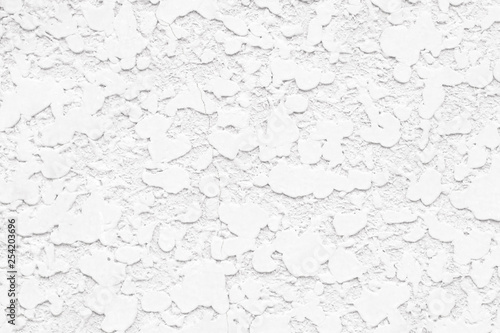 Grunge white painted rough textured wall © Svetlana Radayeva