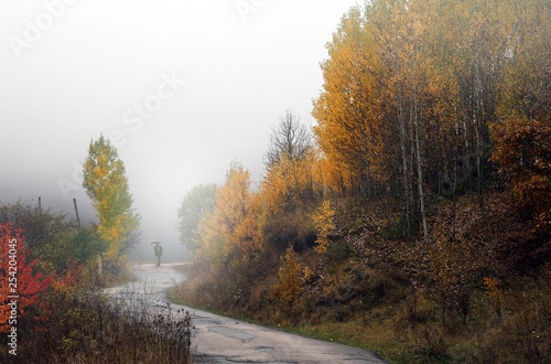 Autumn forest and village photos.artvin turkey 