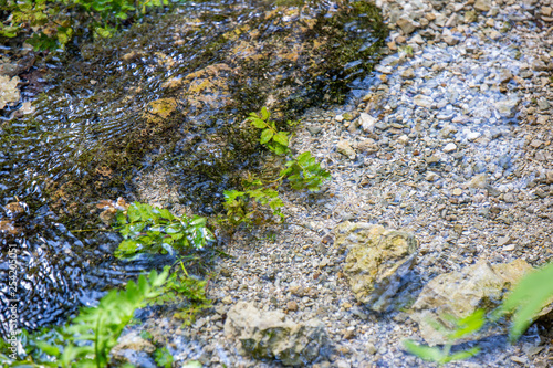 small creek water reflection