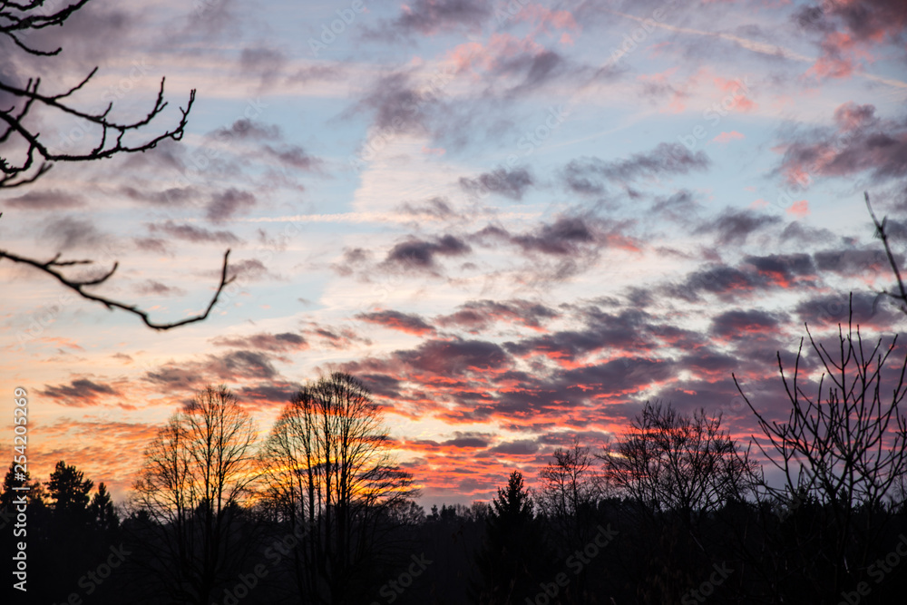 Obraz premium cloudy colorful sunset above forest