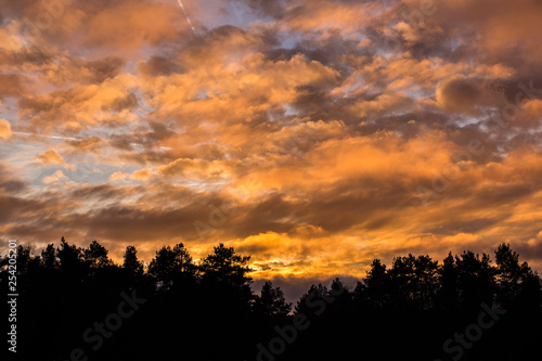 cloudy colorful sunset above forest