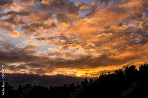 cloudy colorful sunset above forest © Neunerphotography