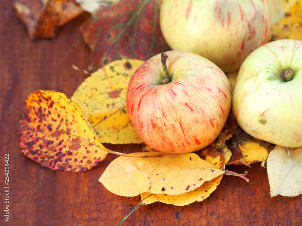 Autumn rustic apples. Farm, harvest apples on wooden background