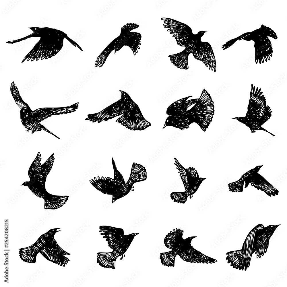 Obraz premium Set of birds flock. Flying crows birds. Hand drawing. Vector.
