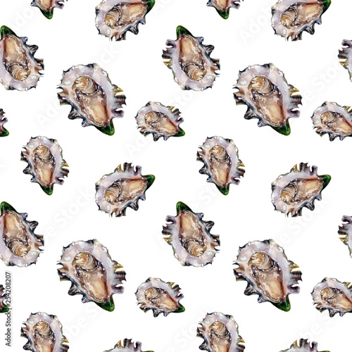Watercolor hand drawn oyster isolated seamless pattern.