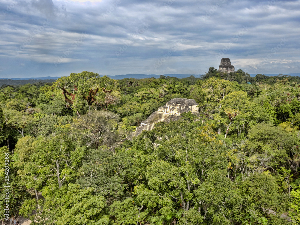 A view from a pyramid height hidden in a dense forest. Nation's most significant Mayan city of Tikal Park, Guatemala