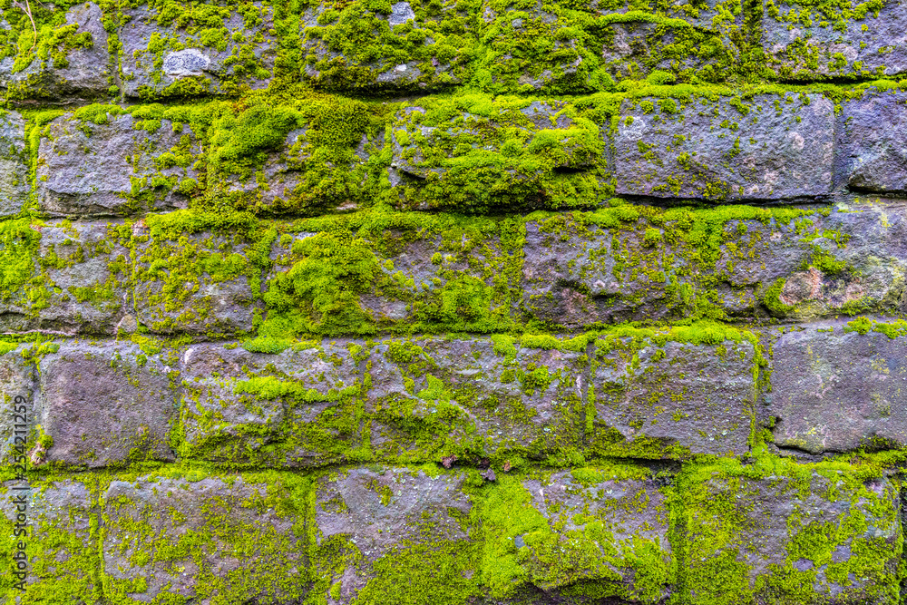 Green moss covered brick stone wall background texture Green moss covered brick stone wall background texture