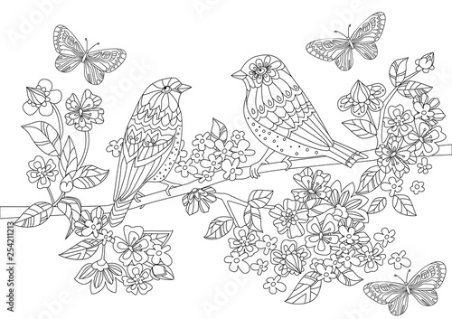 lovely birds on branch of flowering cherry for your coloring boo
