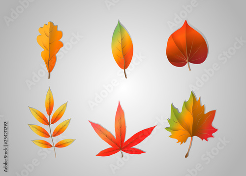 Autumn falling leaves isolated on gray background. Vector illustration.