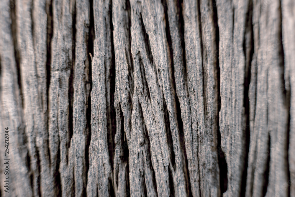 Abstract colored background close up. Macro. Abstract colored background close up. Macro.