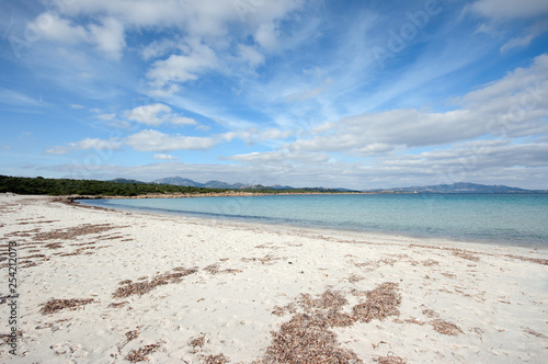 pristine beach