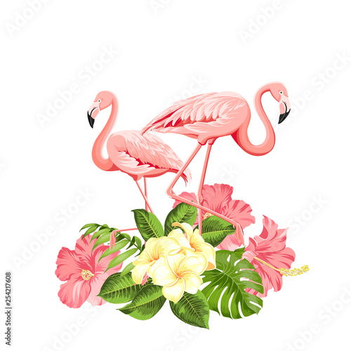 Flamingo background design. Tropical flowers illustration. Fashion summer print for wrapping, fabric, invitation card and your template design. Vector illustration. © Kotkoa