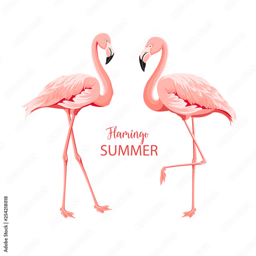 Fototapeta premium Tropical birds illustration. Pink flamingos set. Two staing flamingos. Elements for invitation card and your template design. Vector illustration.