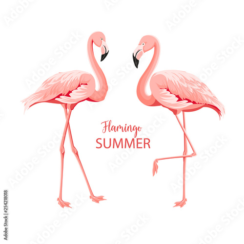 Tropical birds illustration. Pink flamingos set. Two staing flamingos. Elements for invitation card and your template design. Vector illustration.