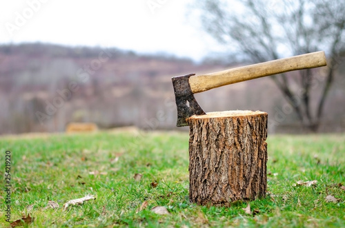 Fotografie Wooden hand ax with iron blade stabbed into the stump