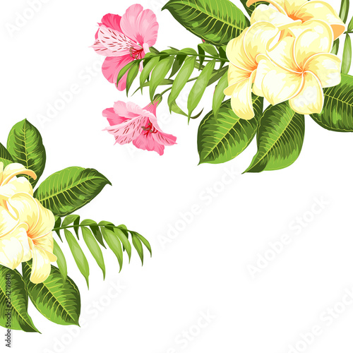 Flower hibiscus tropical plant. Summer holiday invitation card with floral garland with text place. Tropical plumeria garland. Blossom flowers for invitation card, vector illustration.