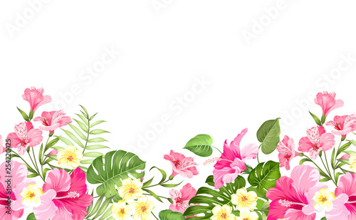 Summer vacation card. Tropical flowers of plumeria and hibiscus at the label. Tropical palm branches with text space on the top of the image. Vector illustration.