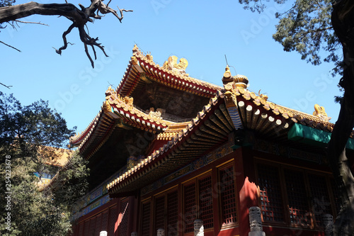 Tiled roof and facade decorated with a Chinese pattern. Palace in The Forbidden City, Beijing, China.
