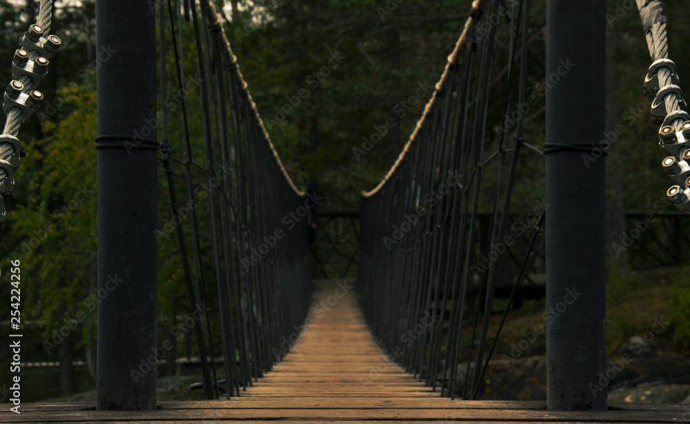 Fototapeta premium hinged bridge in the forest