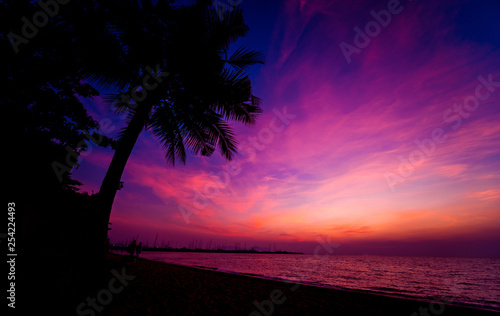 Beautiful tropical beach with palm trees. Sunrises and sunsets. Ocean.