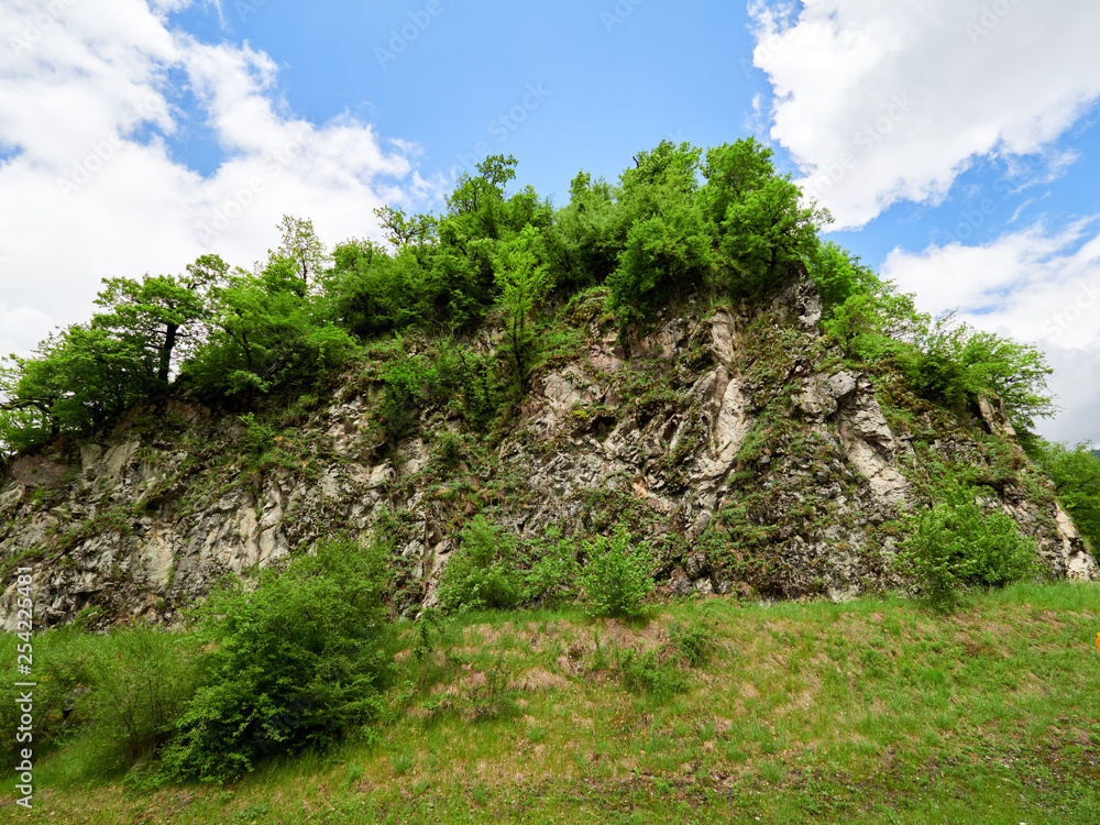 Stone rock and green trees on it. Colors of spring