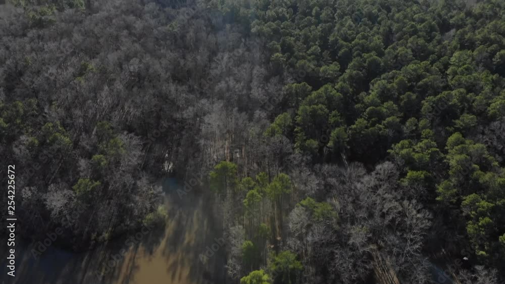 Aerial Tilting Reveal Over Southern Swamp Wilderness. Aerial Tilting Reveal Over Southern Swamp Wilderness.