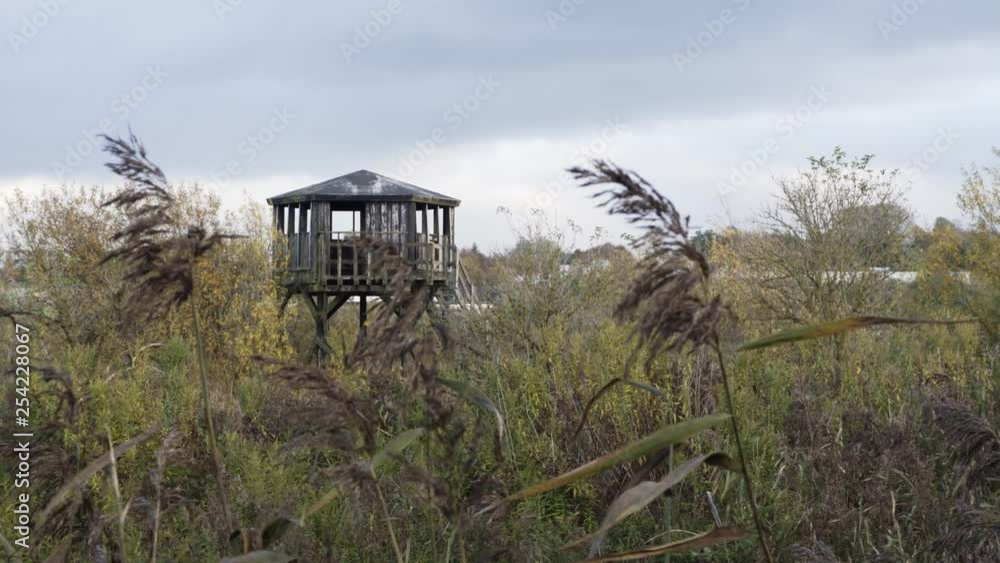 A wooden viewing tower stands among tall grass A wooden viewing tower stands among tall grass