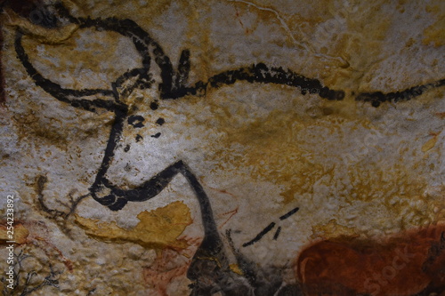Fotografi Auroch de la grotte de Lascaux