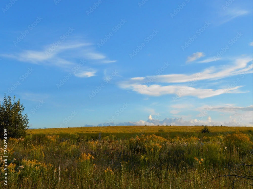 landscape with field and blue sky with inerest clouds.