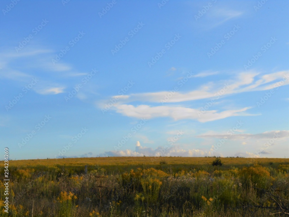 Landscape with field and blue sky with clouds of interest form.