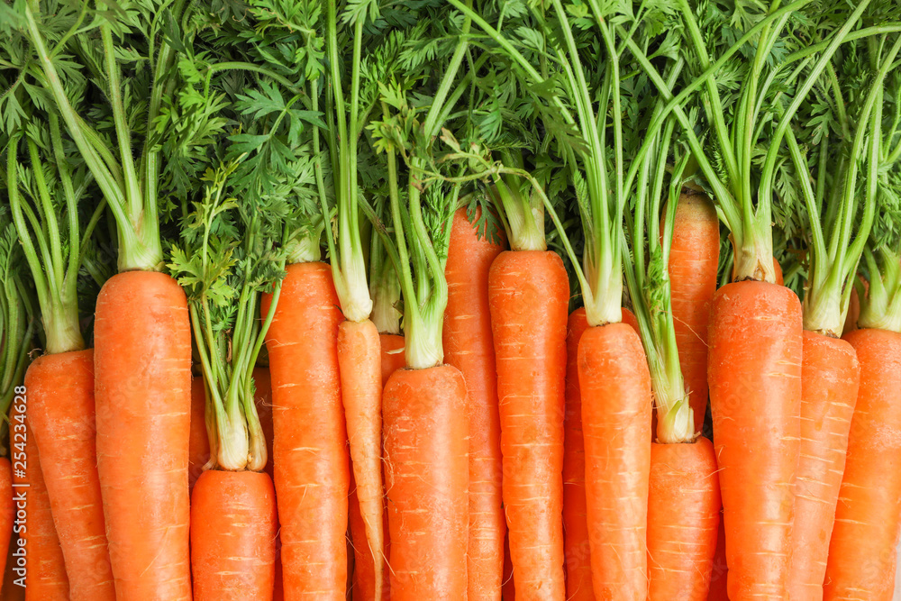 Ripe fresh carrots as background, space for text - obrazy, fototapety, plakaty 