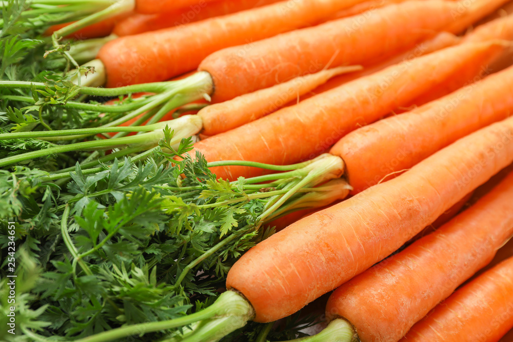 Ripe fresh carrots as background, space for text Ripe fresh carrots as background, space for text