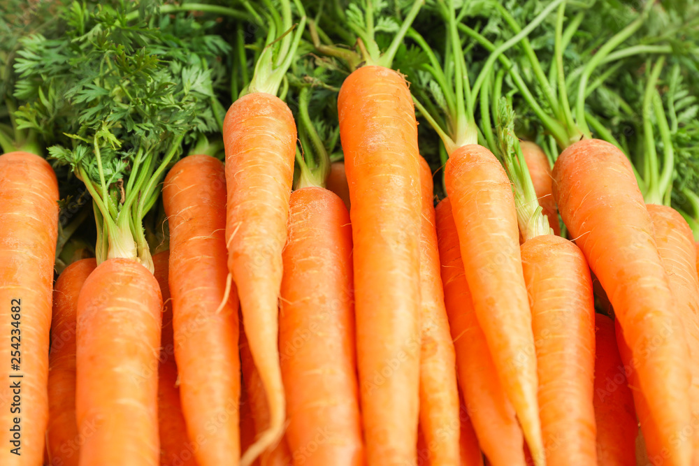 Ripe fresh carrots as background, space for text Ripe fresh carrots as background, space for text
