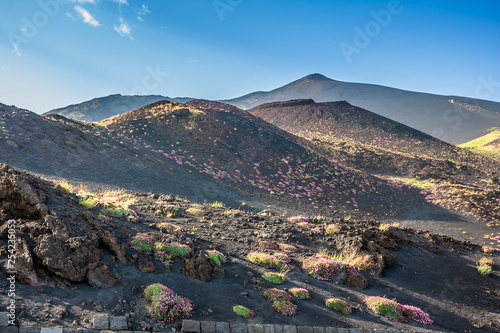 Etna summit craters of south-east panorama, Sicily