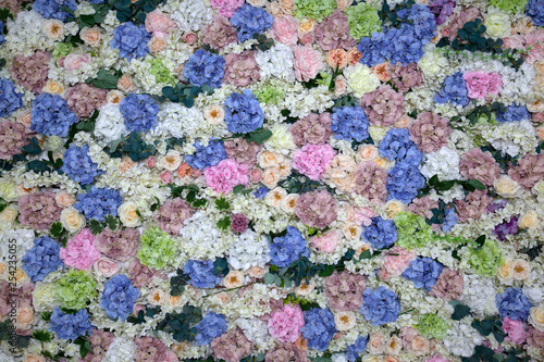 Closeup background, wallpaper fresh flowers white, pink, purple, beige rose, chrysanthemum, hydrangea, phlox. Concept floris wall of fresh flowers at presentation, opening of new store