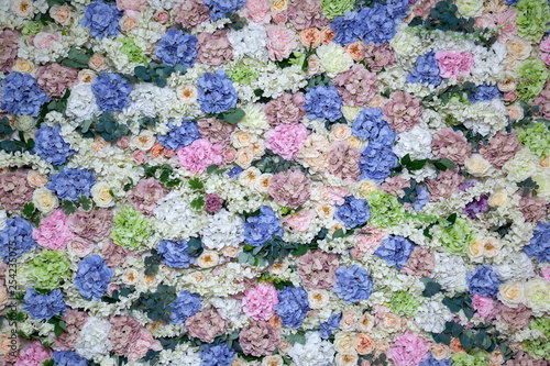 Closeup background, wallpaper fresh flowers white, pink, purple, beige rose, chrysanthemum, hydrangea, phlox. Concept floris wall of fresh flowers at presentation, opening of new store