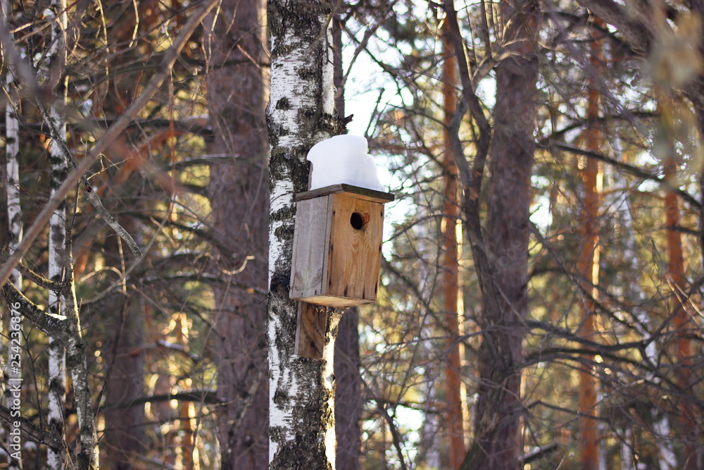 Rough self-made unpainted wooden birdhouse on a trunk of a birch in a wood Rough self-made unpainted wooden birdhouse on a trunk of a birch in a wood