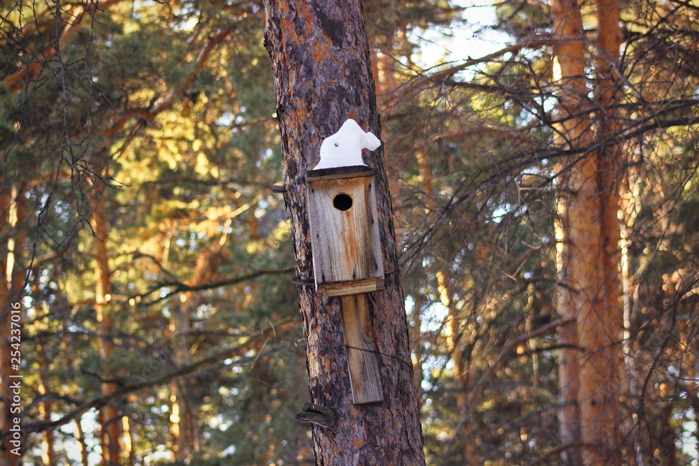 Rough self-made unpainted wooden birdhouse on a trunk of a pine in a wood