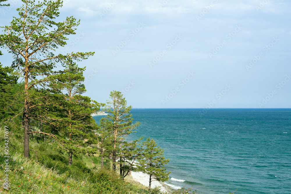 The shore of Lake Baikal with pine trees on a summer day The shore of Lake Baikal with pine trees on a summer day