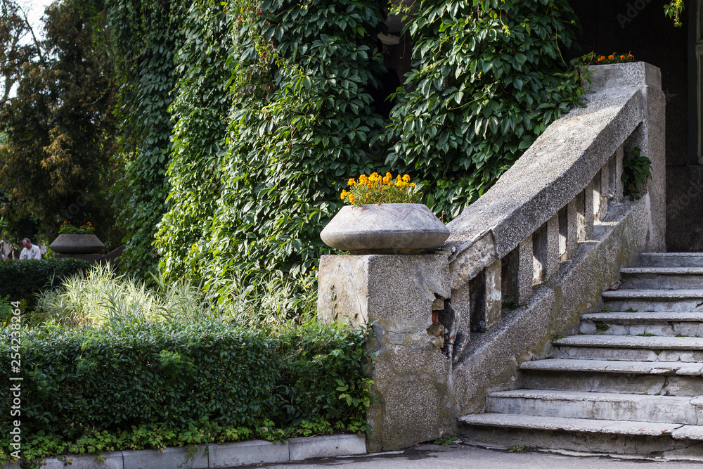 stone staircase against a green tree