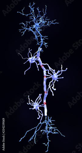 Принти на полотні A pyramidal neuron with myelin sheaths produced by oligodendrocytes