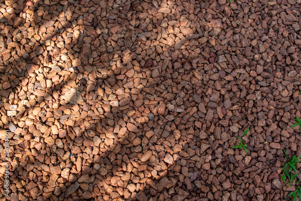 Decorative gravel ground cover. Decorative gravel ground cover.
