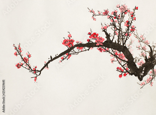 flowering branch of plum