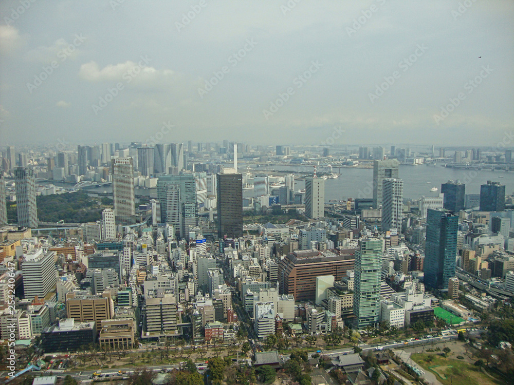 view from the skyscraper to tokyo city