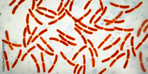 Bacteria Lactobacillus, 3D illustration. Normal flora of small intestine, lactic acid bacteria. Probiotic bacterium photo